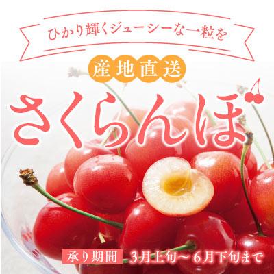 ひかり輝くジューシーな一粒を 産地直送さくらんぼ 承り期間：3月上旬～6月下旬まで