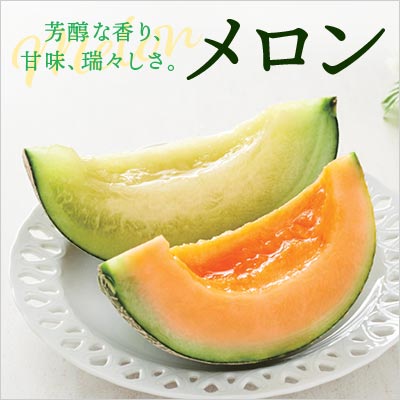 イオンショップ　旬のメロン