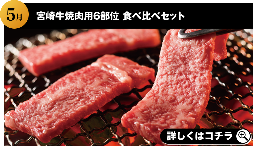 2024年5月 宮崎牛焼肉用6部位食べ比べセット 詳しくはこちら