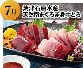 2024年7月 焼津石原水産 天然南まぐろ赤身中とろ