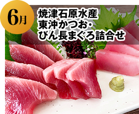 2024年6月 焼津石原水産 東沖かつお・びん長まぐろ詰合せ