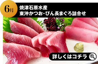 2024年6月 焼津石原水産 東沖かつお・びん長まぐろ詰合せト 詳しくはこちら