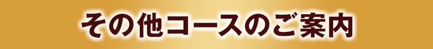 その他コースのご案内