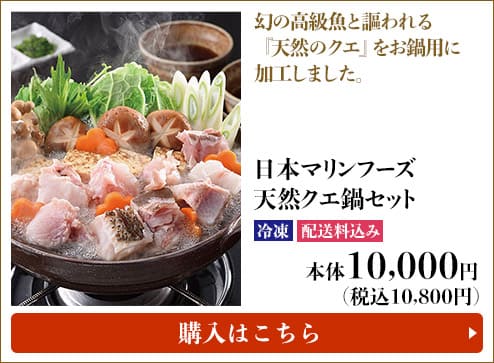 日本マリンフーズ 天然クエ鍋セット 冷凍 配送料込み 本体10,000円（税込10,800円）