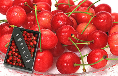 山形県産 さくらんぼ「佐藤錦」の画像