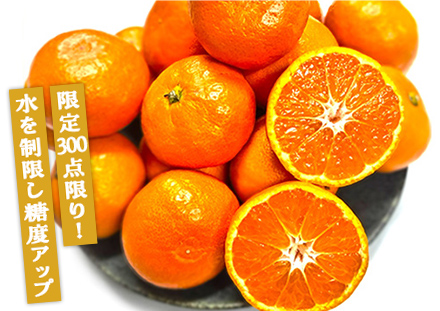 愛媛県 今治みかん 4kgの商品画像