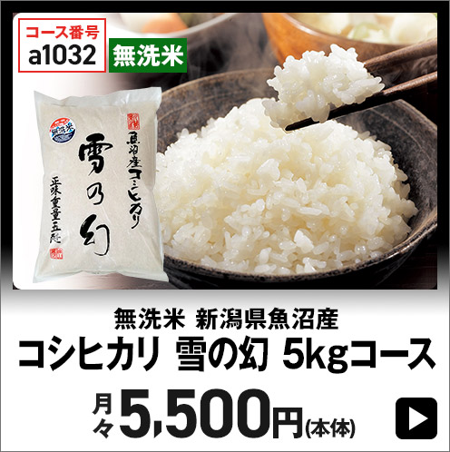 無洗米 新潟県魚沼産 コシヒカリ 雪の幻 5kgコース 月々5,500円(本体)