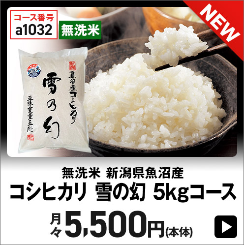 無洗米 新潟県魚沼産 コシヒカリ 雪の幻 5kgコース 月々5,500円(本体)