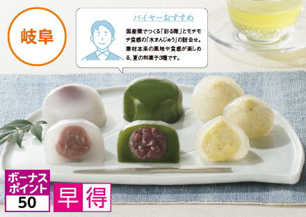中津川和菓子店 松葉 水まんじゅうと彩る栗詰合せの商品画像