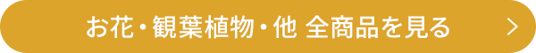 お花・観葉植物・他 全商品を見る