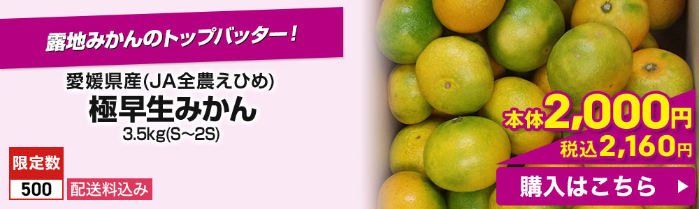 愛媛県産(JA全農えひめ) 極早生みかん 3.5kg(S〜2S) 配送料込み 限定数500 本体2,000円 税込2,160円 購入はこちら