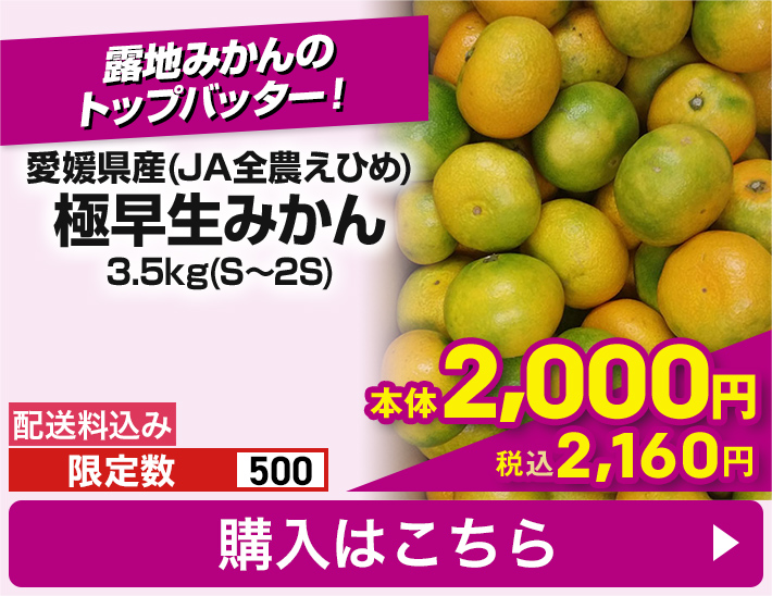 愛媛県産(JA全農えひめ) 極早生みかん 3.5kg(S〜2S) 配送料込み 限定数500 本体2,000円 税込2,160円 購入はこちら