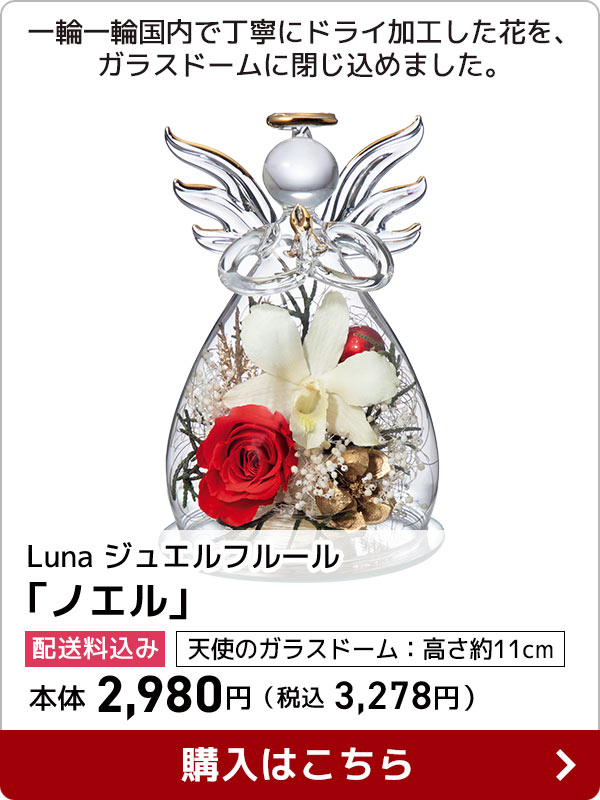 Luna ジュエルフルール 「ノエル」配送料込み 天使のガラスドーム：高さ約11cm 本体 2,980円（税込 3,278円）一輪一輪国内で丁寧にドライ加工した花を、ガラスドームに閉じ込めました。