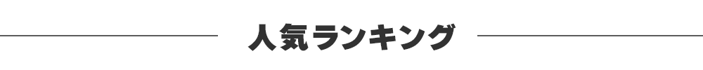 人気ランキング