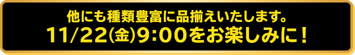 他にも種類豊富に品揃えいたします。11/22(金)9:00をお楽しみに！