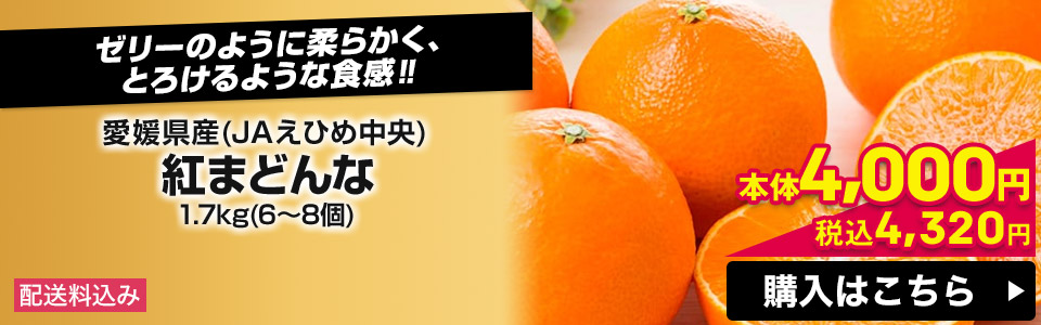 愛媛県産(JAえひめ中央) 紅まどんな 1.7kg(6〜8個) 配送料込み 本体4,000円 税込4,320円 購入はこちら