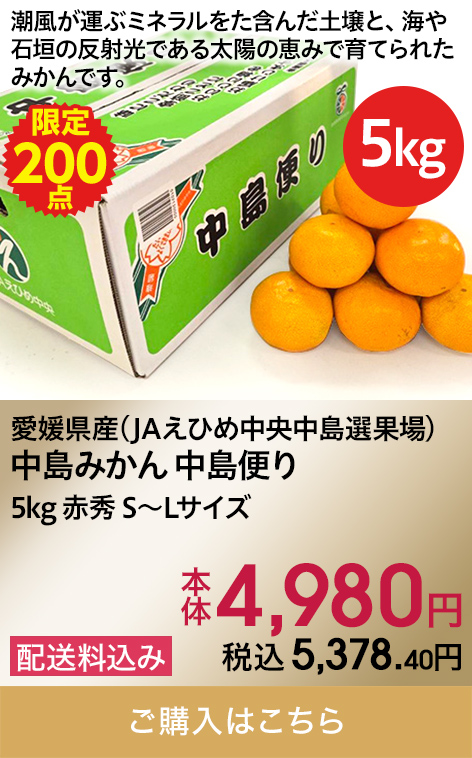 愛媛県産(JAえひめ中央中島選果場) 中島みかん 中島便り 5kg 赤秀 S〜Lサイズ 本体4,980円 税込5,378.40円 配送料込み 限定200 ご購入はこちら