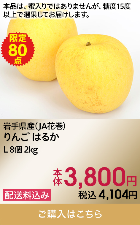 岩手県産(JA花巻) りんご はるか L 8個 2kg 本体3,800円 税込4,104円 配送料込み 限定80 ご購入はこちら