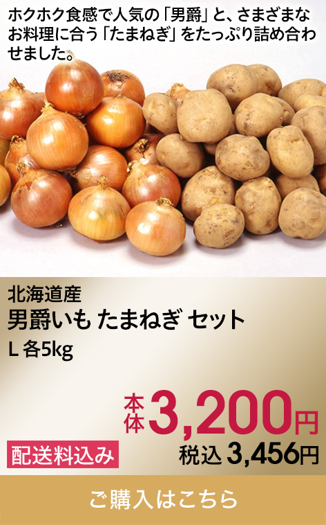 北海道産 男爵いも たまねぎセット L 各5kg 本体3,200円 税込3,456円 配送料込み ご購入はこちら