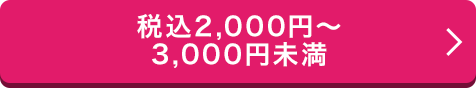 税込2,000円〜3,000円未満