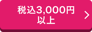 税込3,000円以上