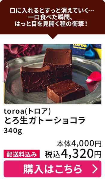 toroa(トロア) とろ生ガトーショコラ 340g 配送料込み 本体4,000円 税込4,320円 購入はこちら