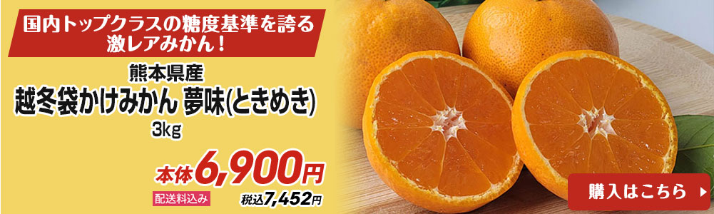 熊本県産 越冬袋かけみかん 夢味(ときめき) 3kg  配送料込み 本体6,900円 税込7,452円