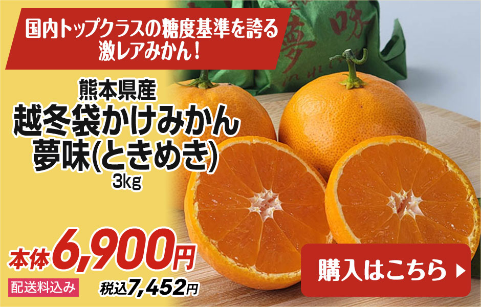 熊本県産 越冬袋かけみかん 夢味(ときめき) 3kg  配送料込み 本体6,900円 税込7,452円