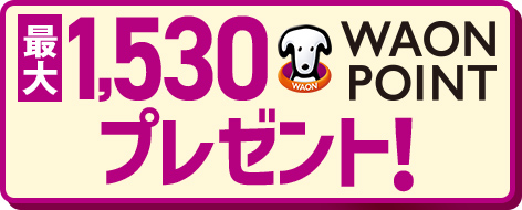 最大1,100WAON POINTプレゼント！