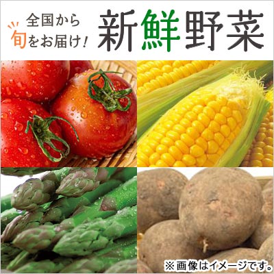 全国から旬をお届け！新鮮野菜