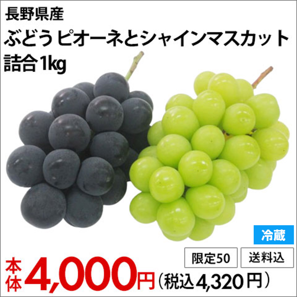長野県産 ぶどう ピオーネとシャインマスカット詰合 1kg【冷蔵】【限定50点】【送料込】【お届け期間：9月15日〜10月15日】 本体4,000円(税込4,320円)