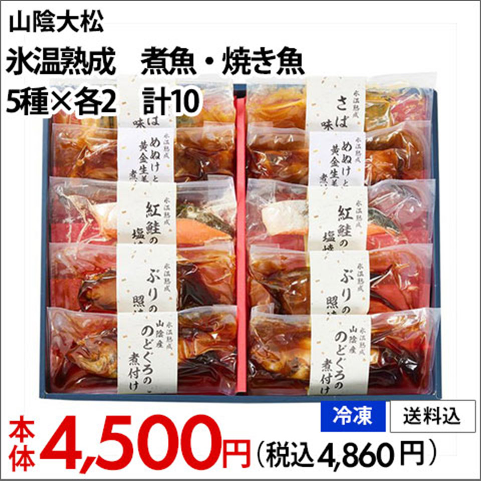 山陰大松 氷温熟成 煮魚・焼き魚 5種×各2 計10【冷凍】【送料込】本体4,500円(税込4,860円)