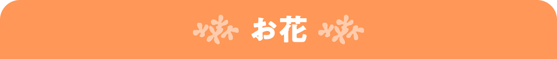 お花