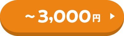 3,000円まで