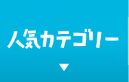 人気カテゴリー