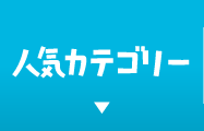 人気カテゴリー