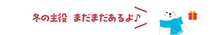 冬の主役 まだまだあるよ♪