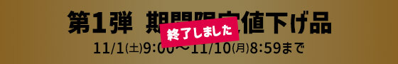終了しました 第1弾 期間限定値下げ品 11/1(土)9:00〜11/10(月)8:59まで