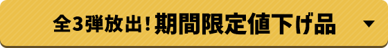 第3弾放出!期間限定値下げ品