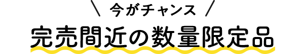 今がチャンス 完売直近の数量限定品