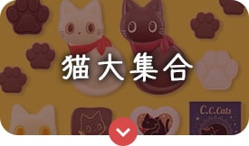 猫大集合