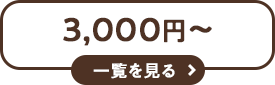 3,000円以上 一覧を見る