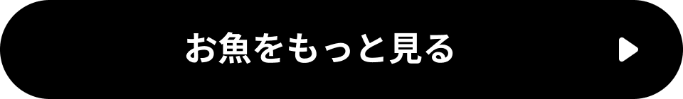 お魚をもっと見る