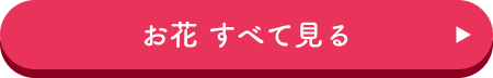 お花 すべて見る