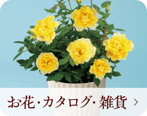お花・カタログ・雑貨