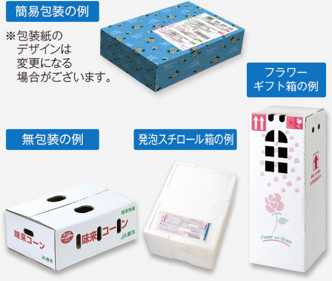 簡易包装の例 ※包装紙のデザインは変更になる場合がございます。 無包装の例 発泡スチロール箱の例 フラワーギフト箱の例