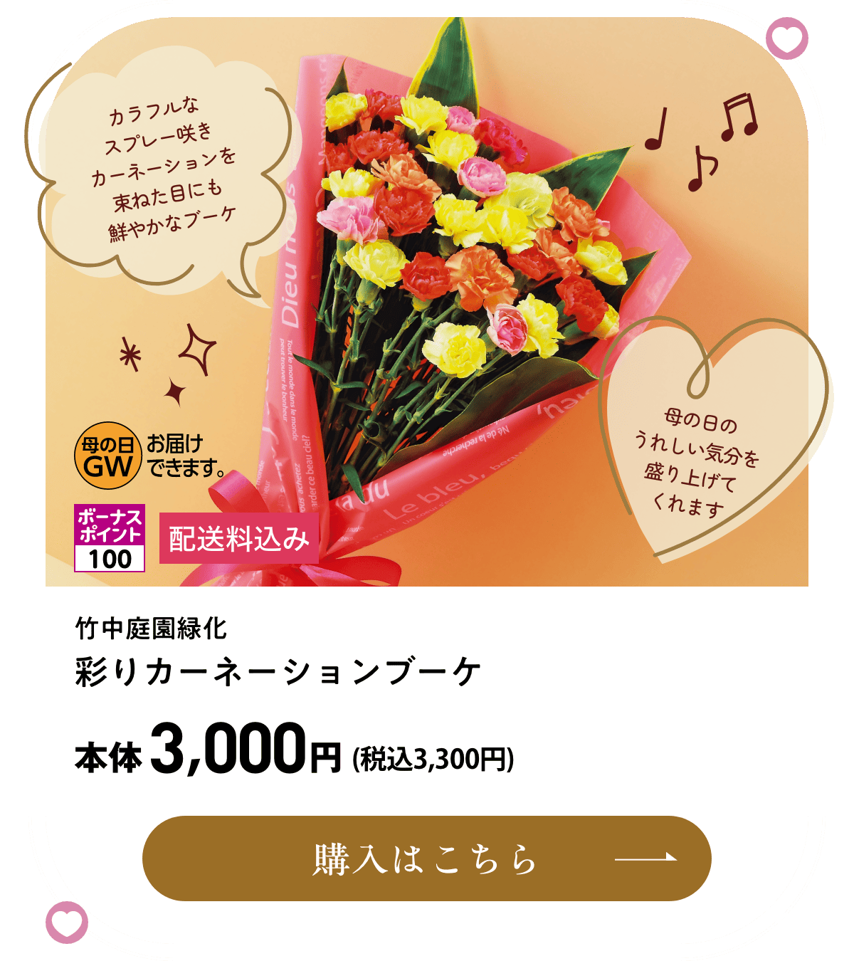竹中庭園緑化 彩りカーネーションブーケ 配送料込み 本体3,000円(税込3,300円) 購入はこちら