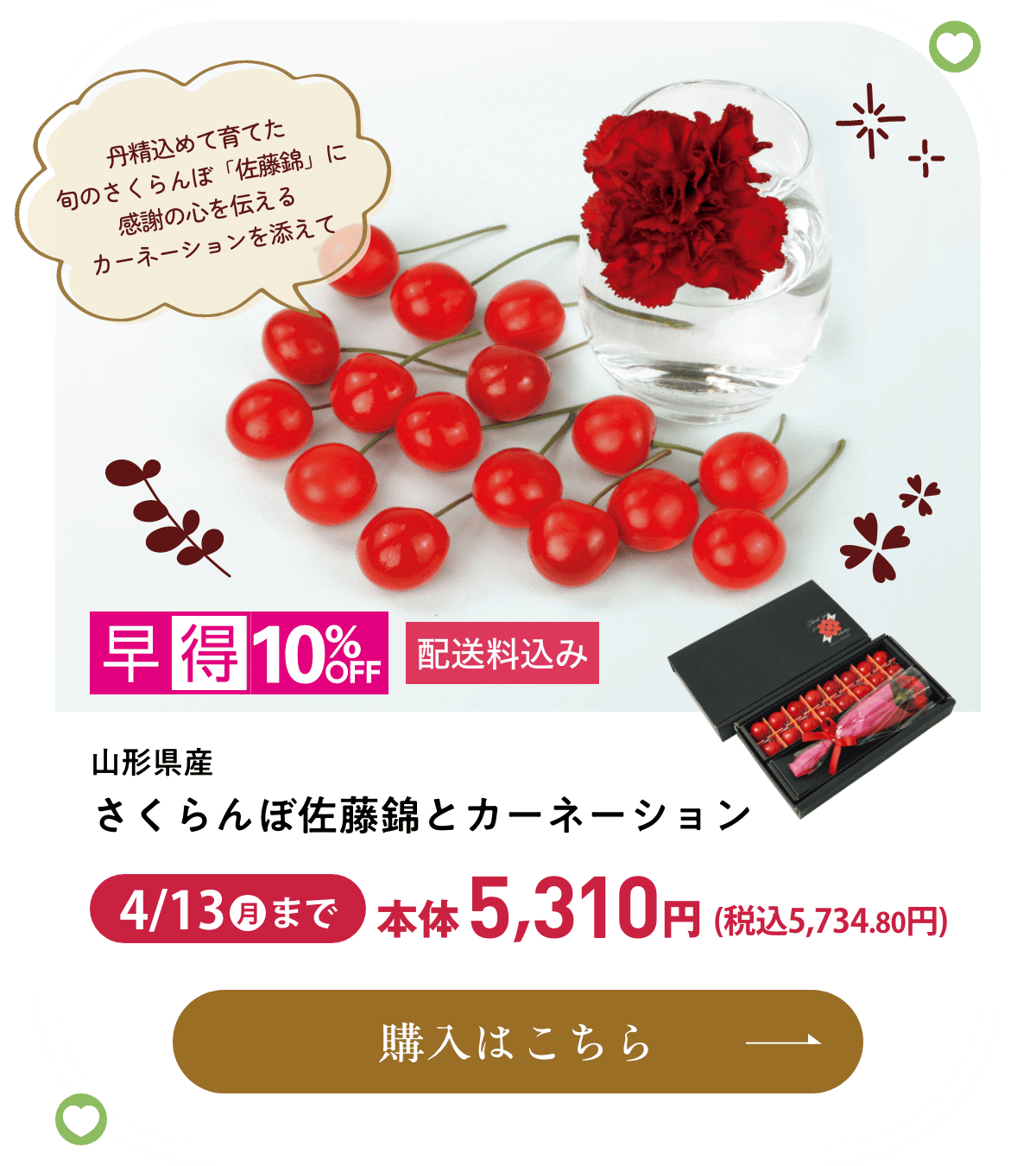 山形県産 さくらんぼ佐藤錦とカーネーション 配送料込み 早得10%OFF 4月13日(月)まで本体5,310円(税込5,734.80円) 購入はこちら