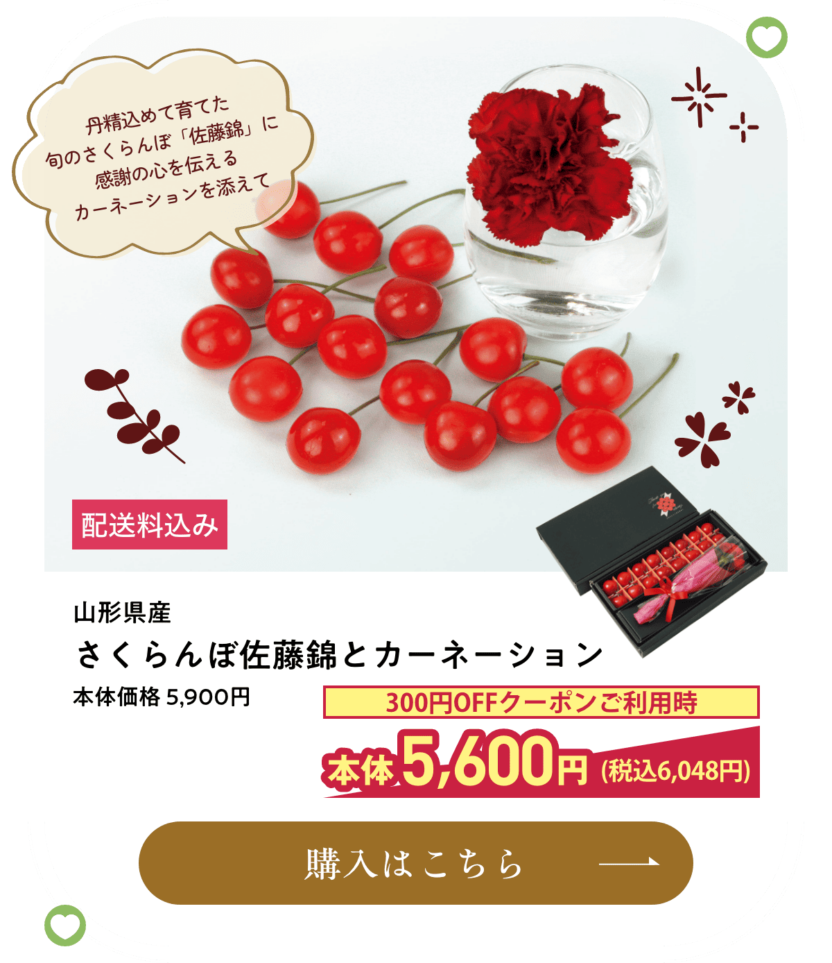 山形県産 さくらんぼ佐藤錦とカーネーション 配送料込み 本体価格 5,900円 300円OFFクーポンご利用時本体5,600円(税込6,048円) 購入はこちら
