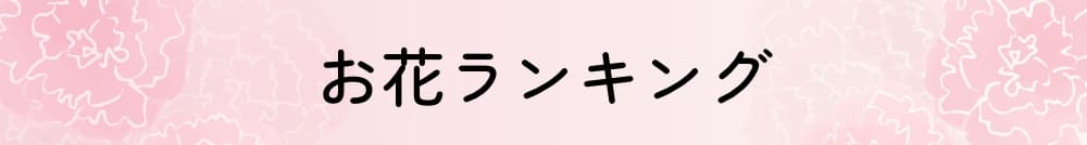 お花ランキング